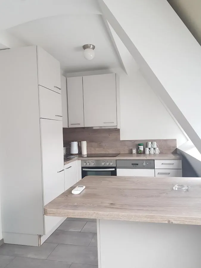 Tota Studio Viena Austria